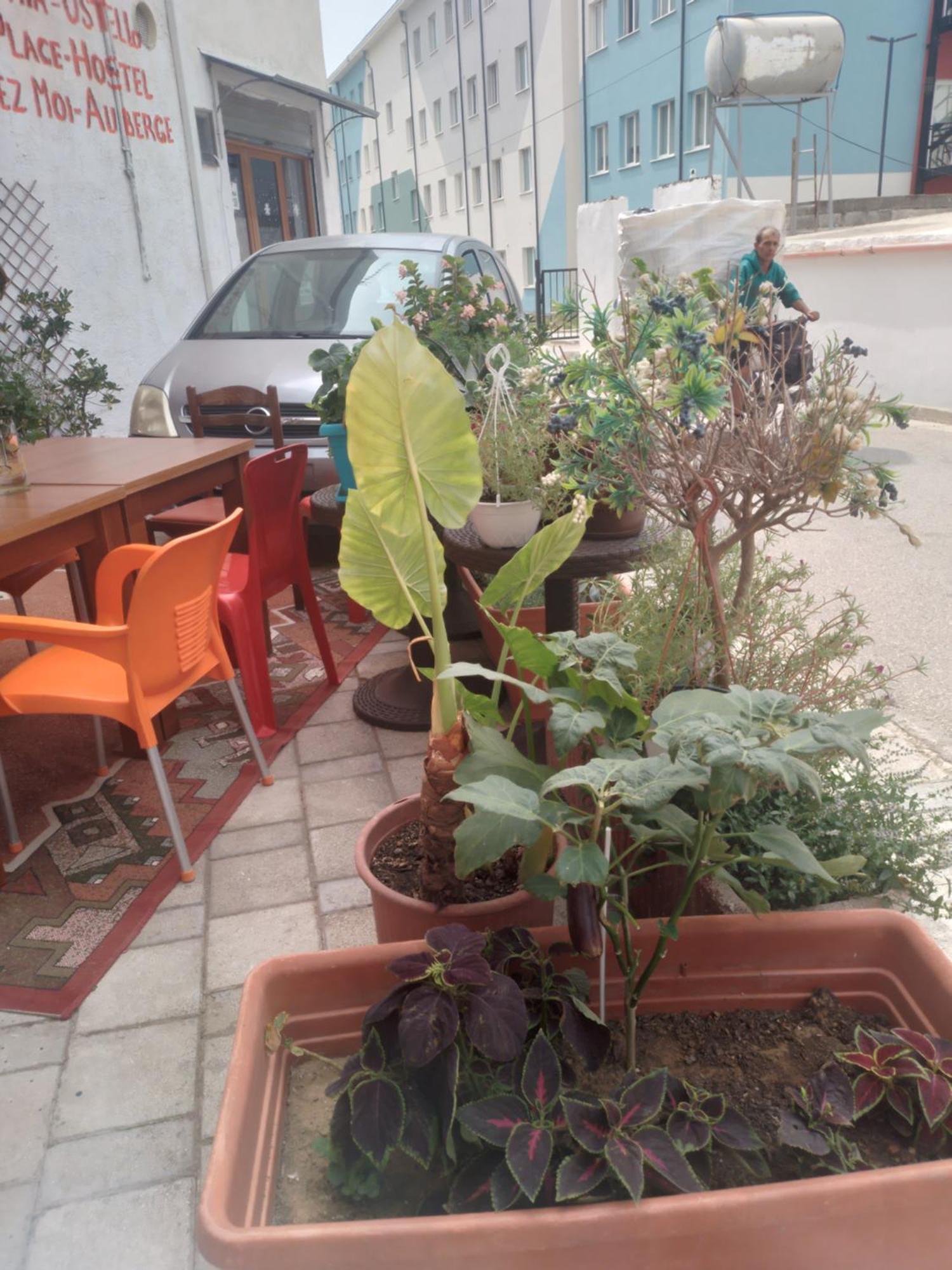 Hostel Casa Mia Wlora Zewnętrze zdjęcie