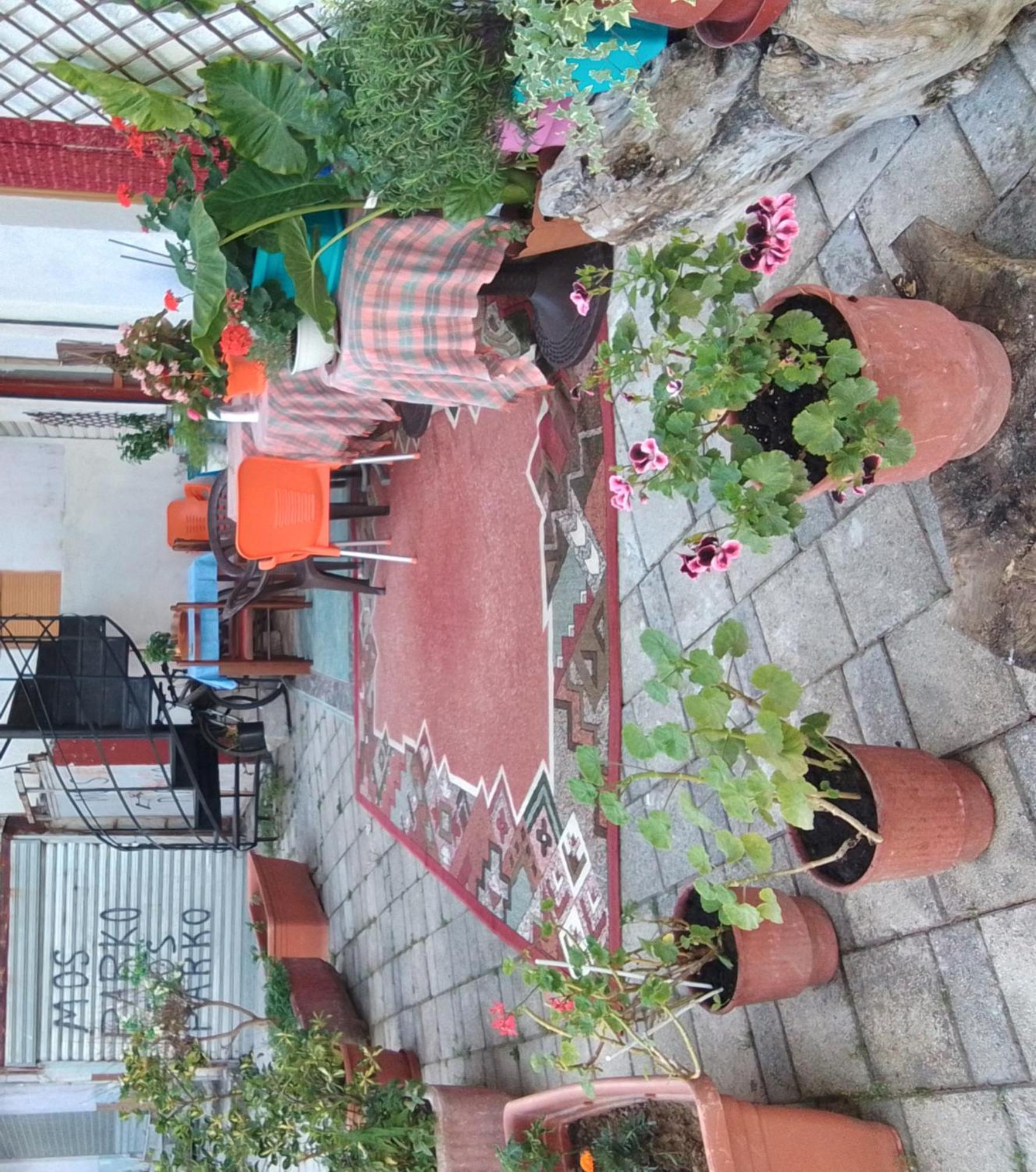 Hostel Casa Mia Wlora Zewnętrze zdjęcie