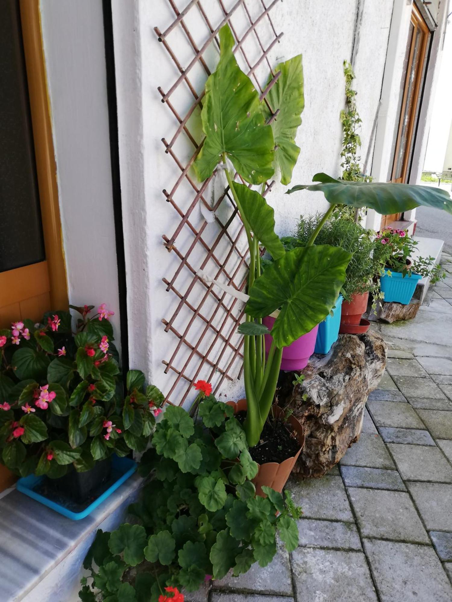 Hostel Casa Mia Wlora Zewnętrze zdjęcie